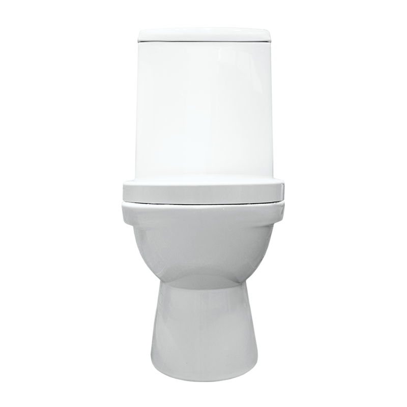 Унитаз Sanita Luxe Next DM NXTSLCC01040622 с бачком и сиденьем микролифт