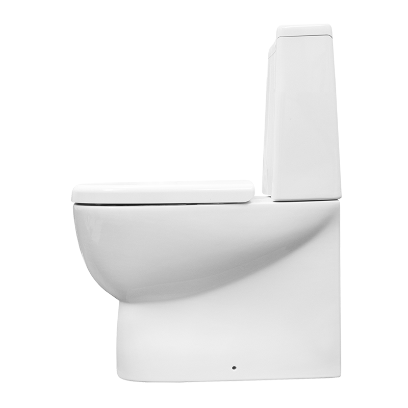 Унитаз-компакт Sanita Luxe Infinity Rimless INFSLCC01040522R с бачком и сиденьем микролифт