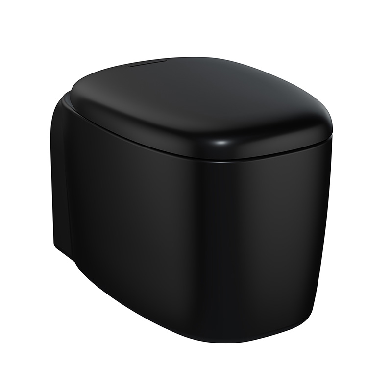 Унитаз подвесной безободковый Vitra Plural 7830B483-0075 черный матовый, без сиденья