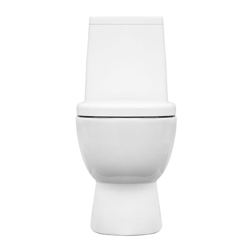 Унитаз-компакт Sanita Luxe Infinity Rimless INFSLCC01040522R с бачком и сиденьем микролифт