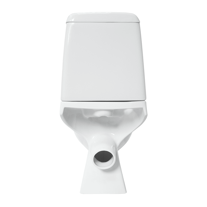 Унитаз-компакт Sanita Luxe Max DM MAXSLCC01040513 с бачком и сиденьем Микролифт