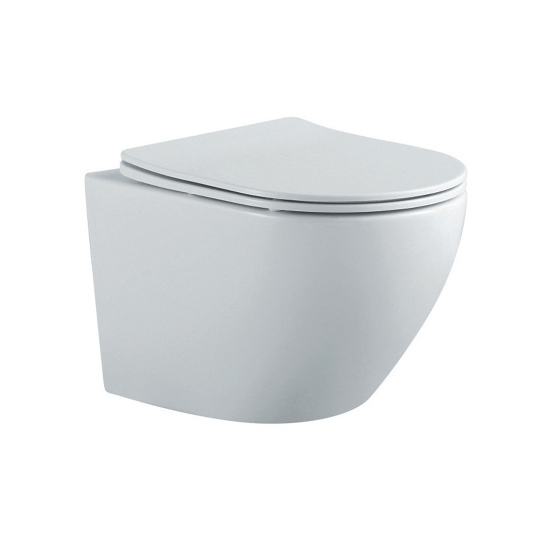 Унитаз подвесной Aquatek Европа AQ1901-MW белый матовый, с сиденьем Soft Close