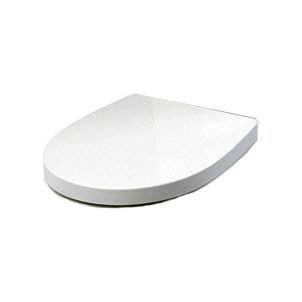 Крышка-сиденье Roca Victoria Nord ZRU9000024 с микролифтом, петли хром