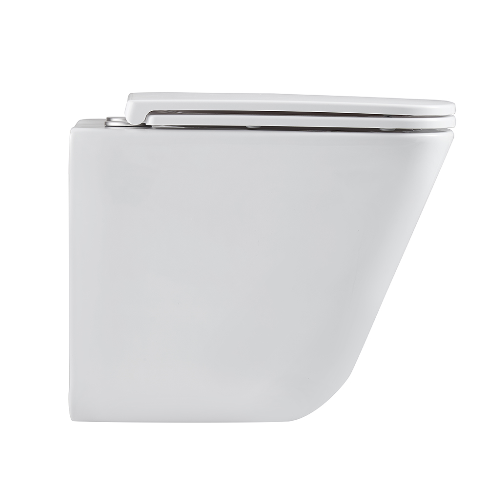 Унитаз подвесной Terminus Ватикан (Торнадо 3.0) 03WM49x34W, белый