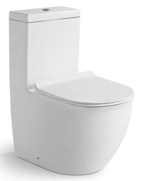 Унитаз напольный с функцией биде SantiLine SL-5011 белый, с сиденьем микролифт