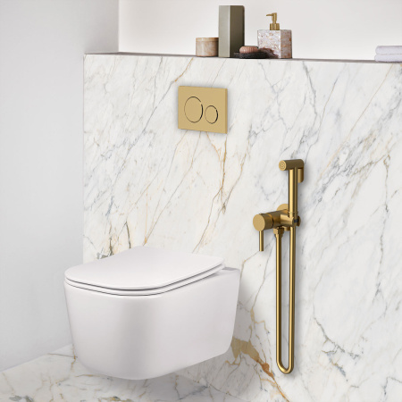 Гигиенический душ со смесителем Vincea VHFW-101BG золото матовое