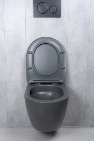 Унитаз подвесной безободковый GID Tr2122TF-Dgm темно-серый матовый, с сиденьем микролифт