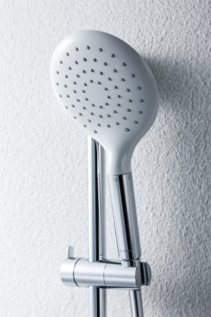 Душевая лейка Bravat Snow P70144CP-RUS Хром