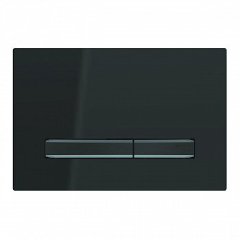 Кнопка смыва Geberit Sigma 50 115.671.DW.2 черный