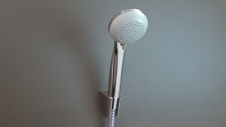 Ручной душ Hansgrohe Crometta 28562000 Хром