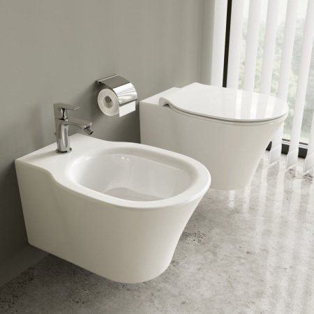 Крышка-сиденье Ideal Standard Connect Air E036601 с микролифтом, петли хром