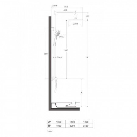 Душевая стойка Roca Victoria 5A9718C00 хром