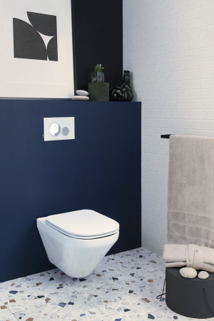 Унитаз Jacob Delafon Modern Life E77725-00 подвесной без сиденья