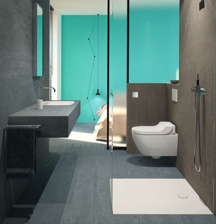 Унитаз биде Geberit AquaClean Tuma 146.294.SI.1 Белый альпин