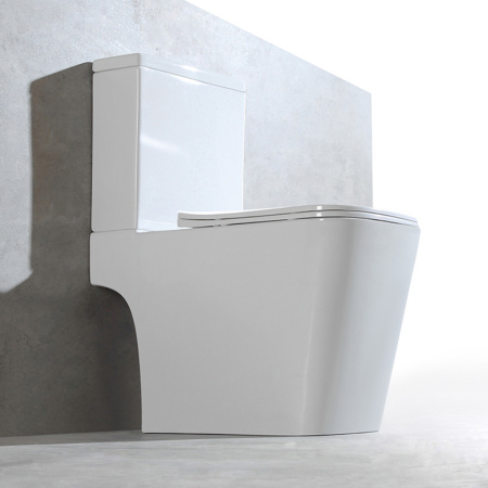 Унитаз напольный Vincea Hope VT2-201 белый, с сиденьем микролифт