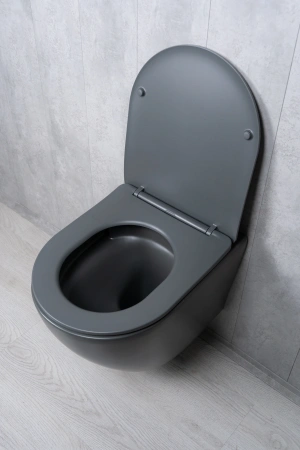 Унитаз подвесной безободковый GID Tr2122TF-Dgm темно-серый матовый, с сиденьем микролифт