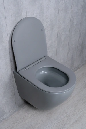 Унитаз подвесной безободковый GID Tr2122TF-Lgm серый матовый, с сиденьем микролифт