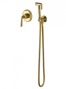 Смеситель с гигиеническим душем встраиваемый WONZON & WOGHAND STEAM, Брашированное золото (WW- 88849008-BG)