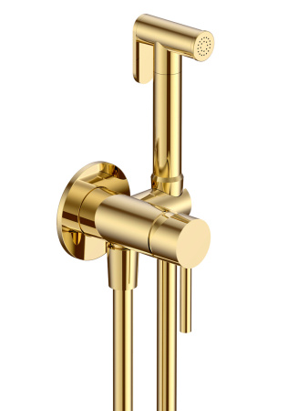 Гигиенический душ со смесителем AQUAme AQM6217GG золото