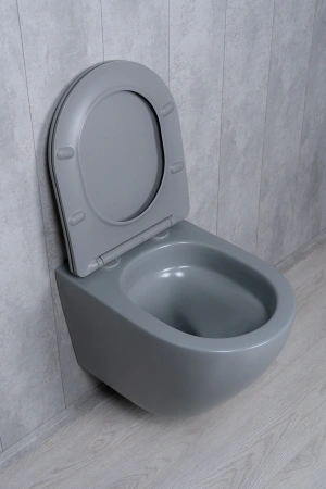 Унитаз подвесной безободковый GID Tr2122TF-Lgm серый матовый, с сиденьем микролифт