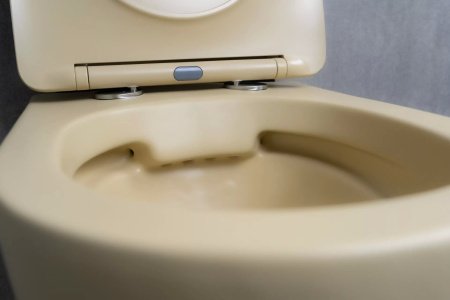 Унитаз подвесной безободковый GID Sr2198, бежевый матовый