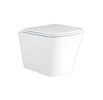 Унитаз подвесной Aquatek Дельта AQ1911-00 с сиденьем Soft Close