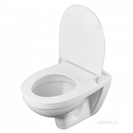 ПЭК Santek Бореаль Пэк 1WH302464 подвесная чаша + инсталляция +сиденье+панель бел. цвета