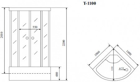 Душевая кабина Timo Standart T-1100 P 100x100x220 профиль хром матовый, стекло прозрачное