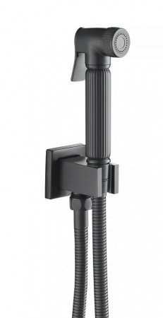 Смеситель для душа Timo Torne 4389/03SM черный матовый