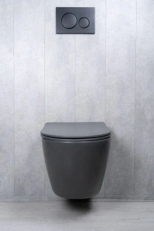 Унитаз подвесной безободковый GID Tr2122TF-Dgm темно-серый матовый, с сиденьем микролифт