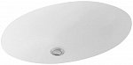 Раковина Villeroy & Boch Evana 6147 00 R1 alpin ceramicplus Раковина Villeroy & Boch Evana 6147 00 R1 alpin ceramicplus