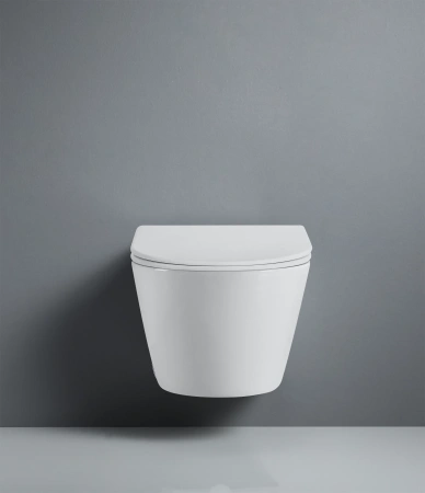 Унитаз подвесной D&K Rhein.Bach DT1476516 белый, с сиденьем микролифт