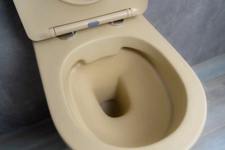 Унитаз подвесной безободковый GID Sr2198, бежевый матовый