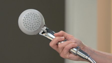 Ручной душ Hansgrohe Crometta 28562000 Хром