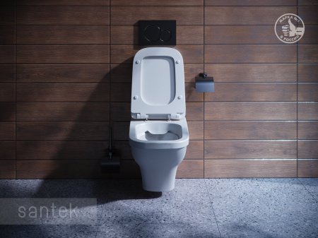 Чаша Santek Унитаз подвесной rimless Лайн 1WH501574
