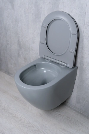 Унитаз подвесной безободковый GID Tr2122TF-Lgm серый матовый, с сиденьем микролифт