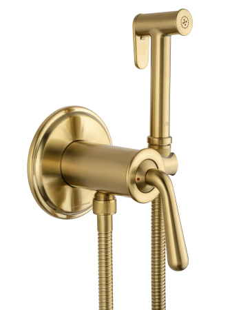 Смеситель с гигиеническим душем встраиваемый WONZON & WOGHAND STEAM, Брашированное золото (WW- 88829008-BG)