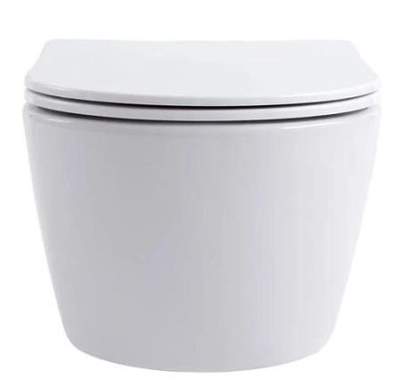 Унитаз подвесной Aquatek Европа AQ1106-00 с сиденьем Soft Close