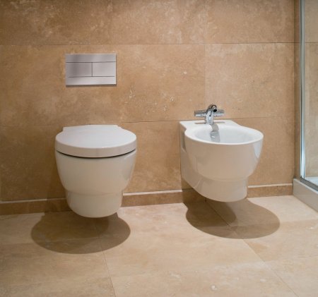 Биде подвесное Jacob Delafon Ove E1586