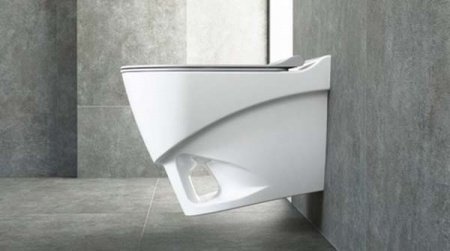 Унитаз Bien Organic OGKA052N1VP0W3000 подвесной с сиденьем Микролифт