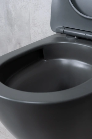 Унитаз подвесной безободковый GID Tr2122TF-Dgm темно-серый матовый, с сиденьем микролифт