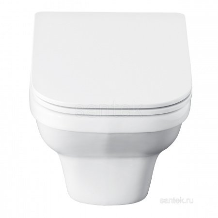ПЭК Santek Лайн Пэк 1WH501729 подвесная чаша rimless + инсталляция + сиденье Slim, SoftClose + панель хром