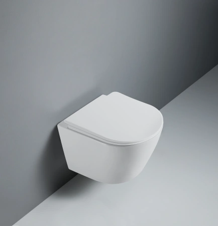 Унитаз подвесной D&K Rhein.Bach DT1476516 белый, с сиденьем микролифт