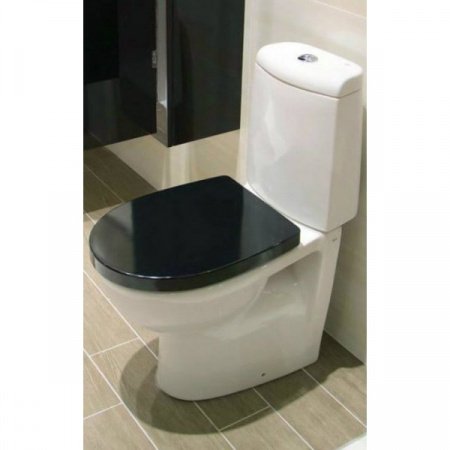 Крышка-сиденье Roca Victoria Nord ZRU9000024 с микролифтом, петли хром