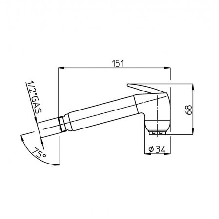Гигиенический душ Bossini Gaia B00661.030 хром