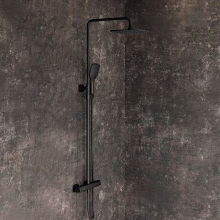 Душевая стойка Ravak 10° Free black X070160 черный