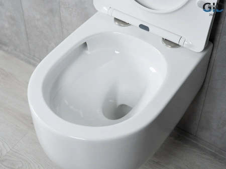 Унитаз подвесной безободковый GID Tr2133TF белый с сиденьем микролифт