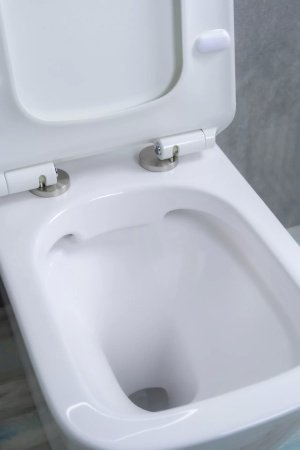 Унитаз напольный безободковый GID Tr2170 с сиденьем микролифт, белый